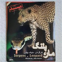 مستند