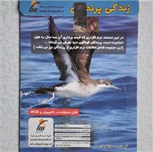 مستند