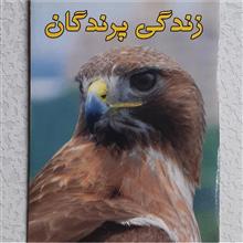 مستند