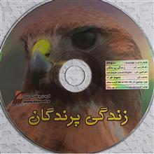 مستند