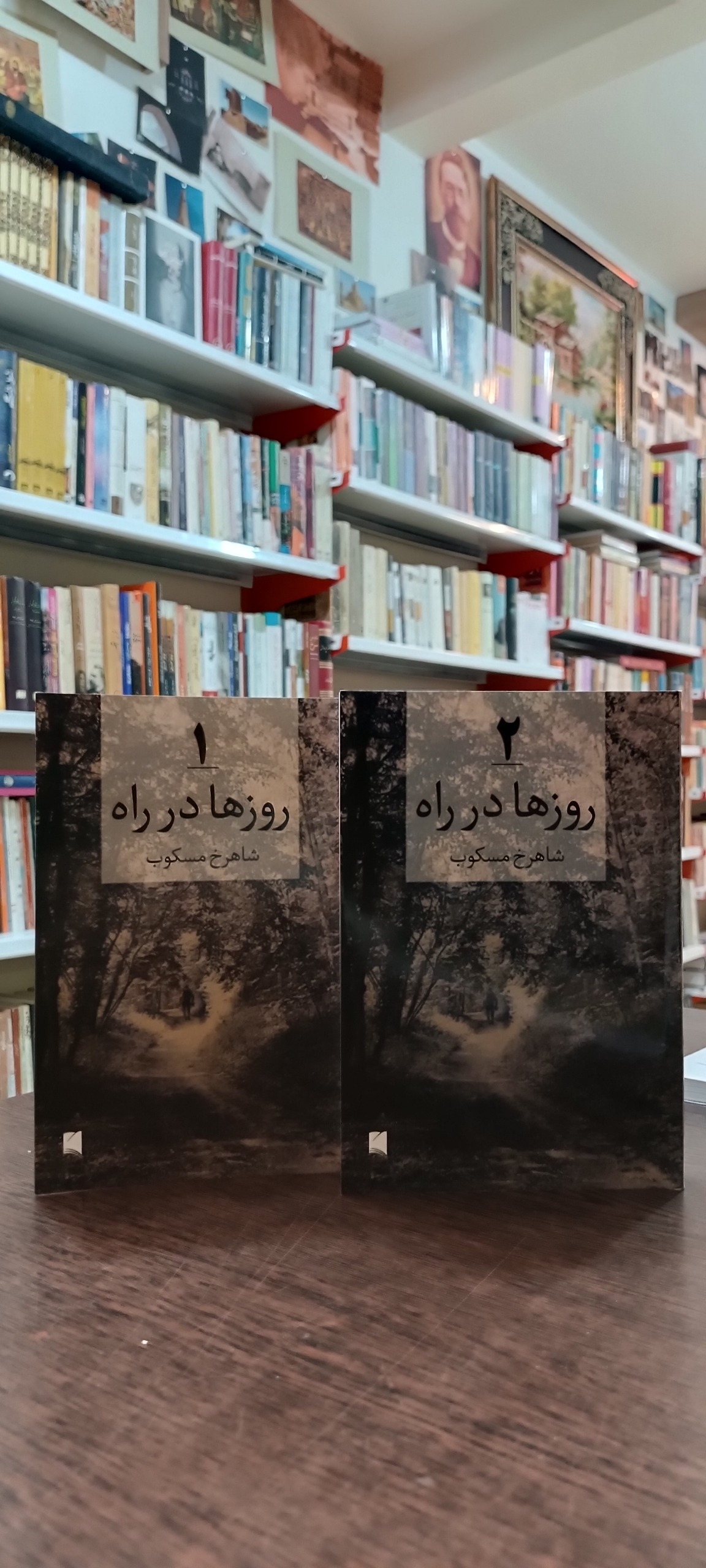روزها در راه - شاهرخ مسکوب