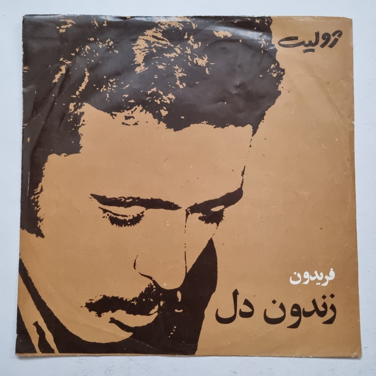 صفحه کاوردار فریدون فروغی - زندون دل