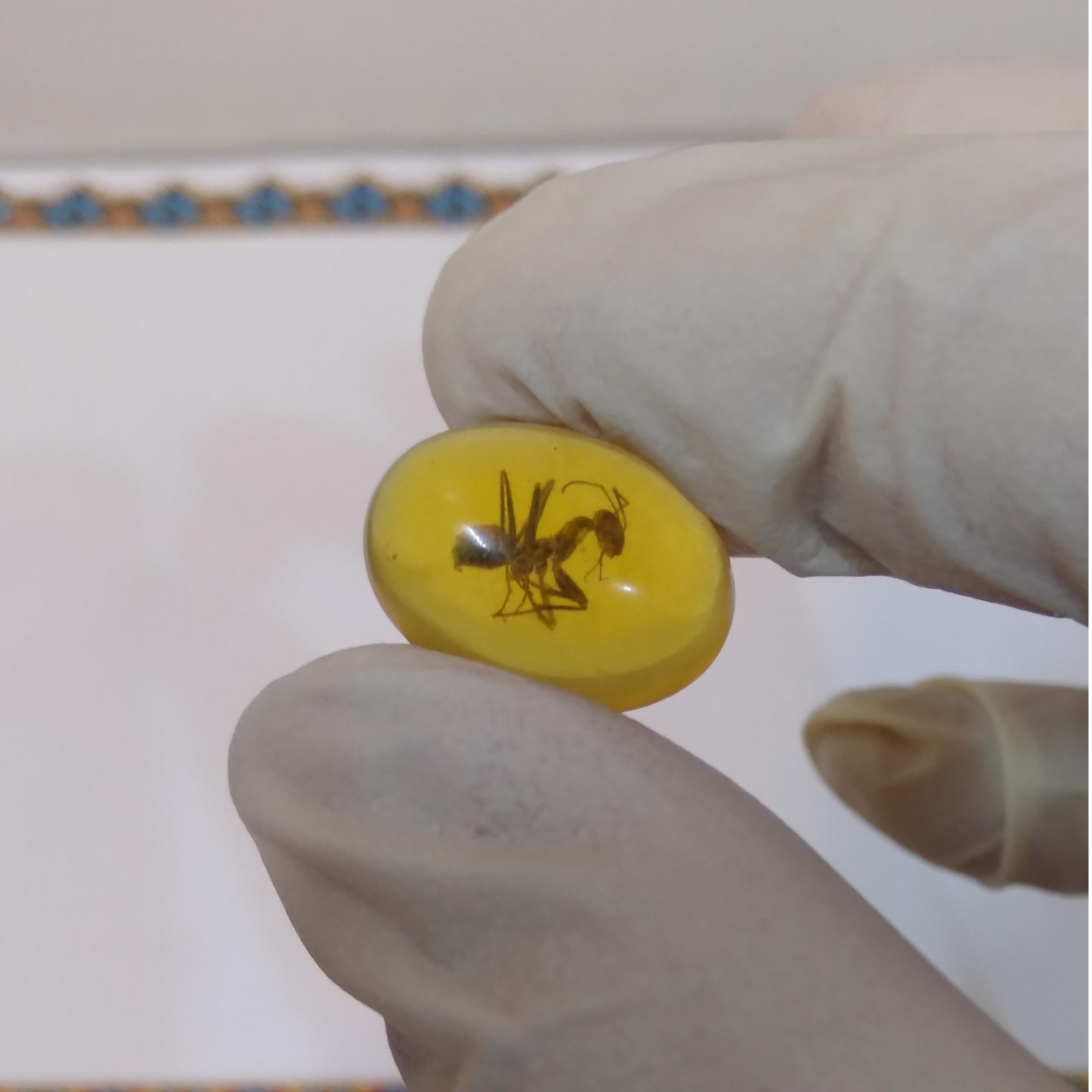 نگین سندلوس حشره دار