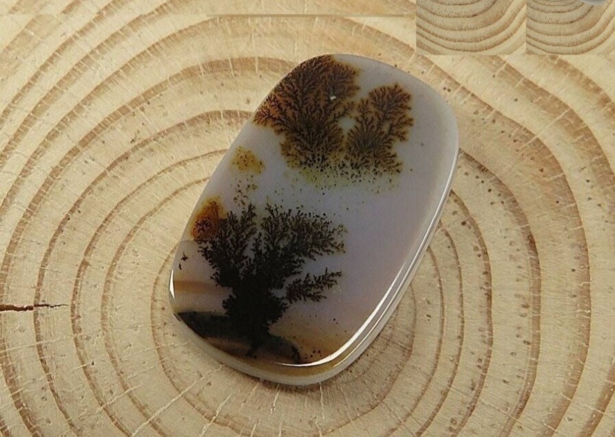 نگین شجر منظره فوق کلکسیونی ( شاهکار طبیعت )