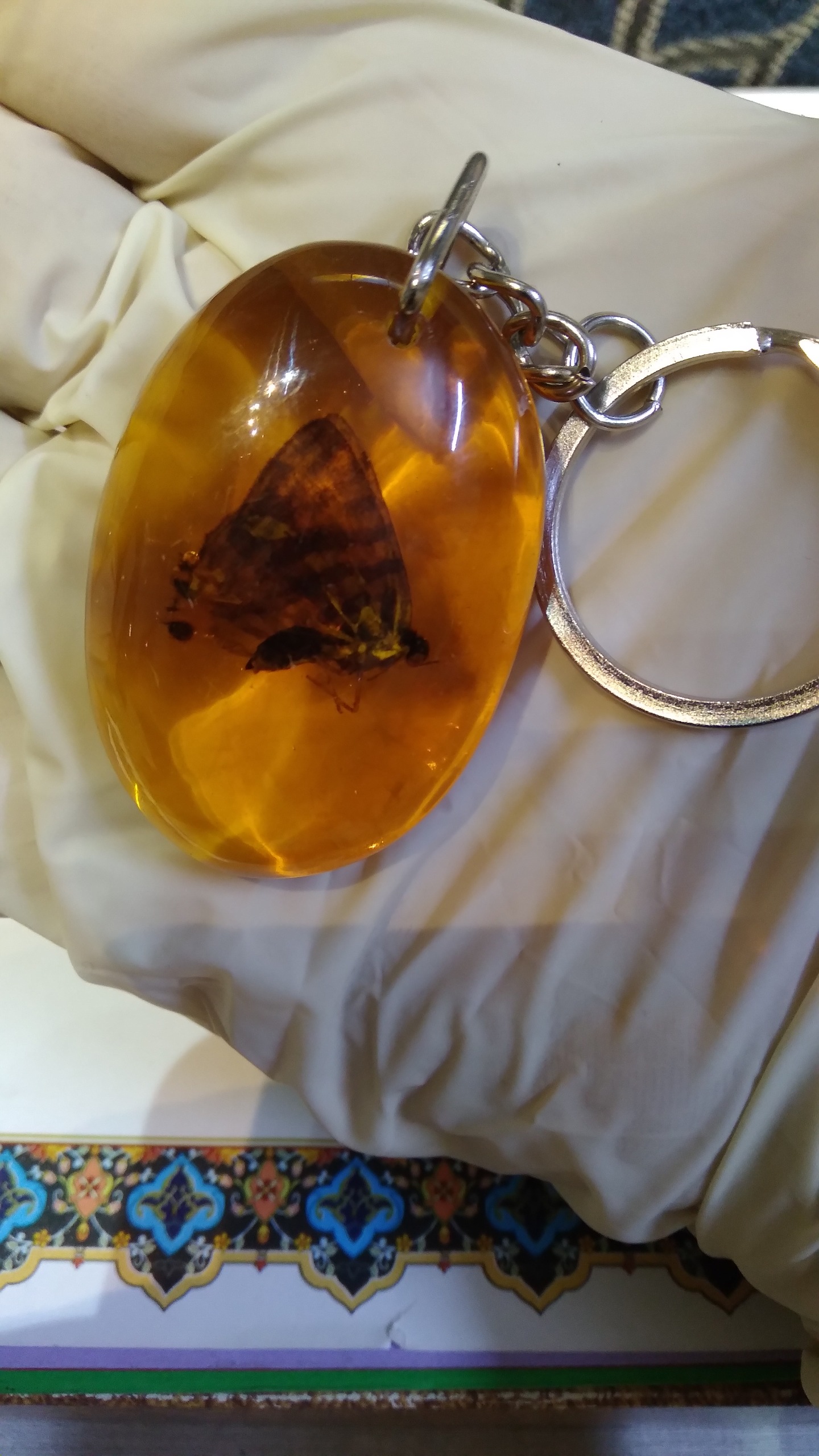 سرکلیدی پروانه کوچک واقعی (طبیعی)