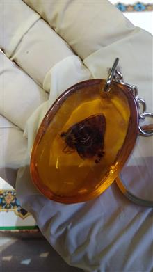 سرکلیدی