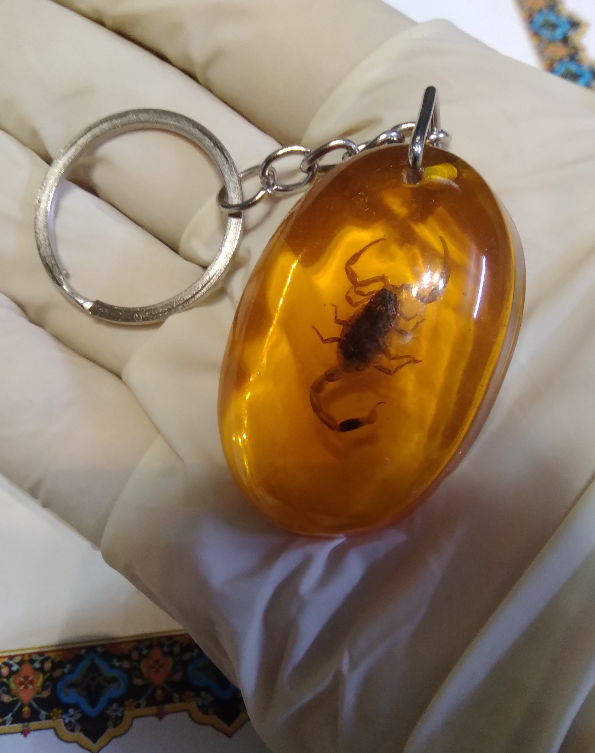 سرکلیدی عقرب واقعی ( طبیعی )