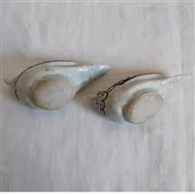 جفت