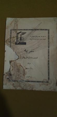 نشریه