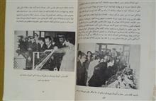 نشریه