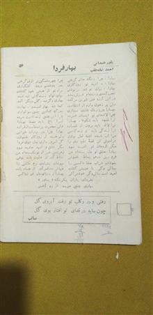 نشریه