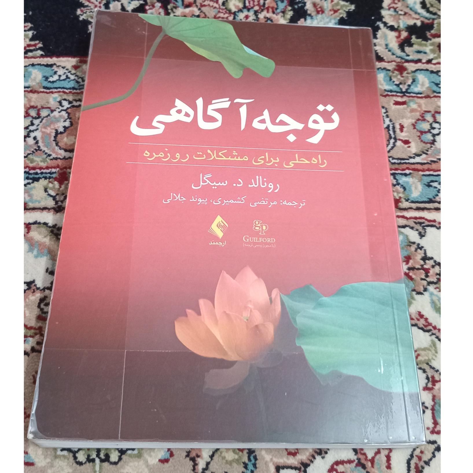 توجه آگاهی سیگل