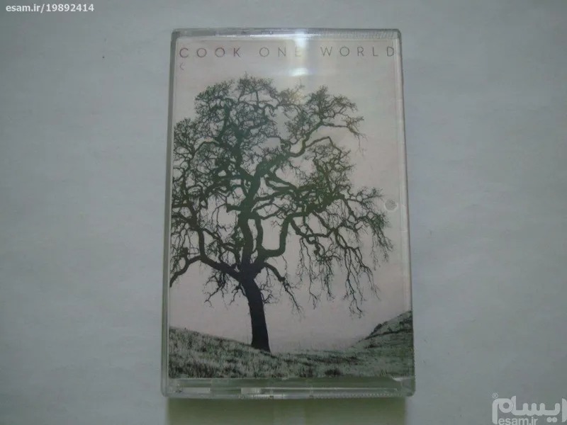 نوار کاست گیتار بیکلام فلامنکو 2015 Jesse Cook