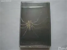 نوار
