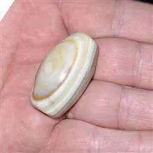 عقیق