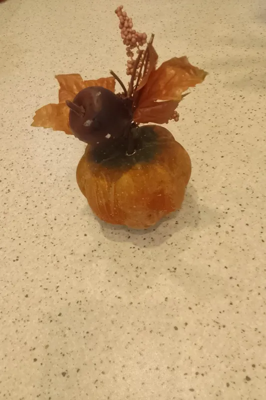 کدو تزیینی پاییز برگ پاییزی نارنجی قهوه ای یونولیت