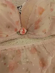 شورت