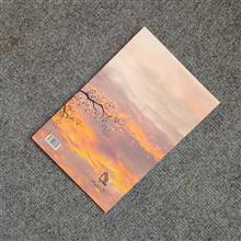 شانگری
