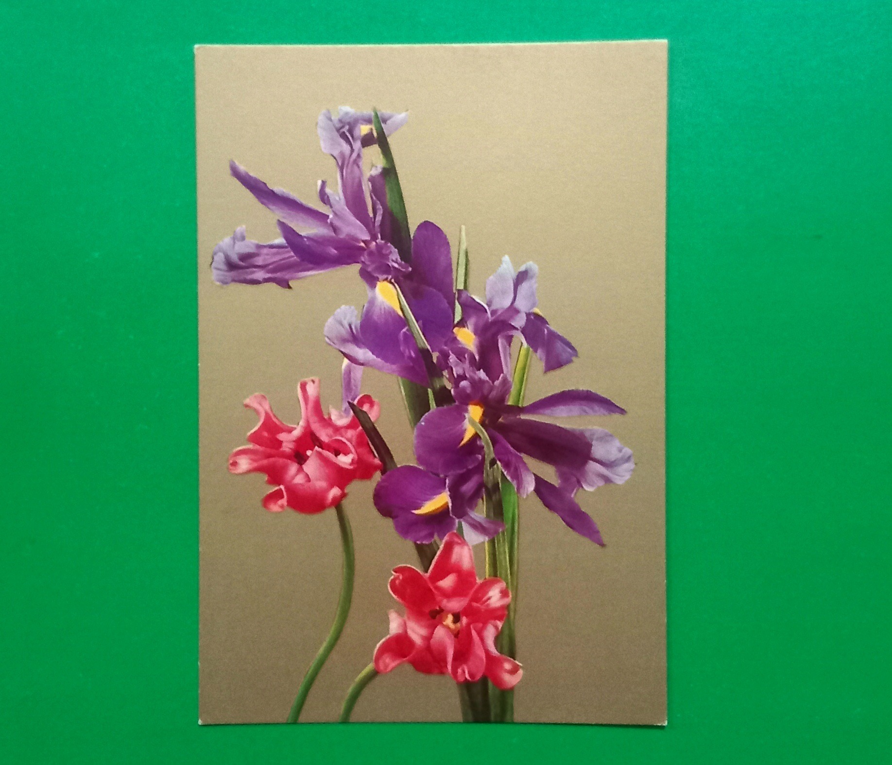 حراج کارت پستال نوستالژی چاپ زمان پهلوی