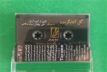 کاست