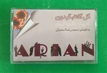 کاست