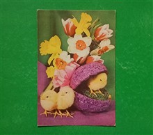 کارت