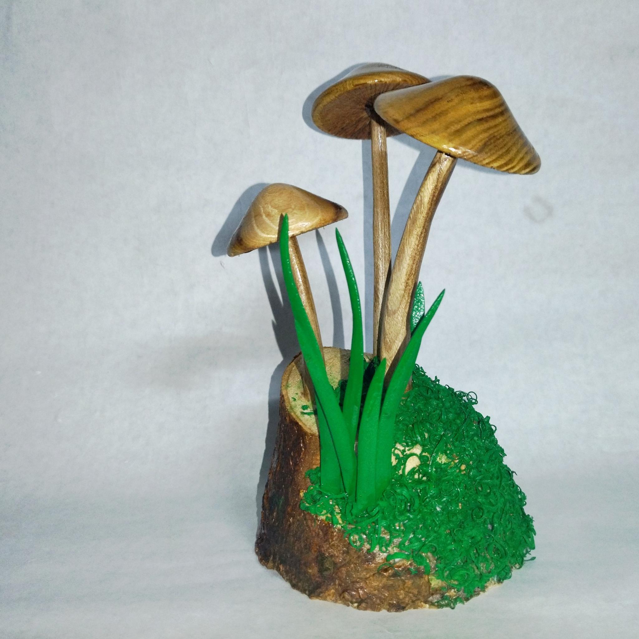 قارچ چوبی دکوری