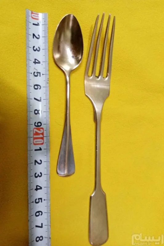 قاشق و چنگال