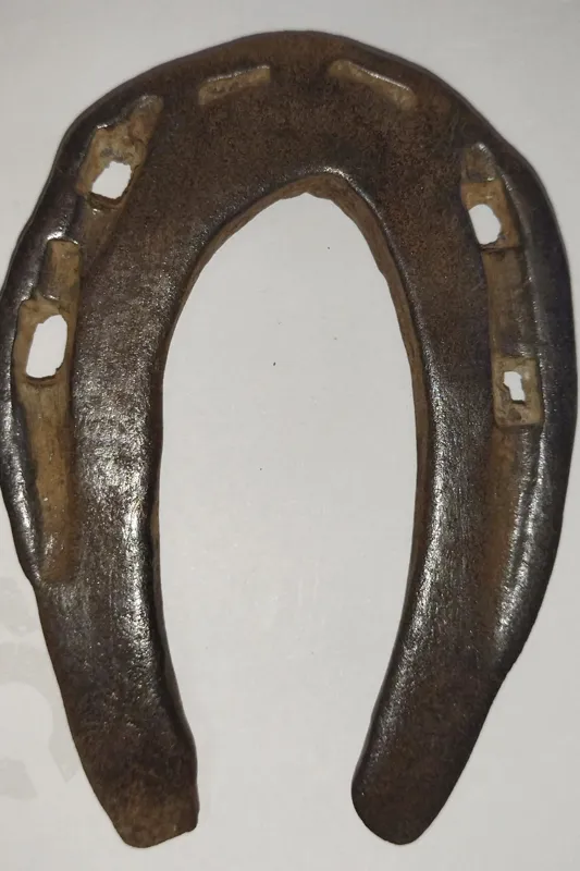 نعل خر آهنی