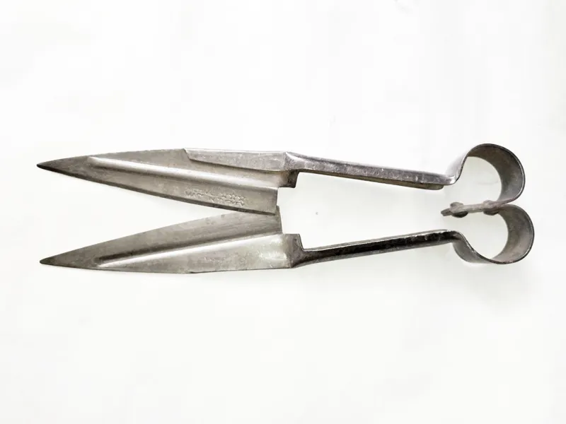 قیچی پشم زنی ترکیه