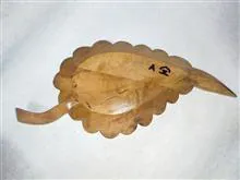 ظرف