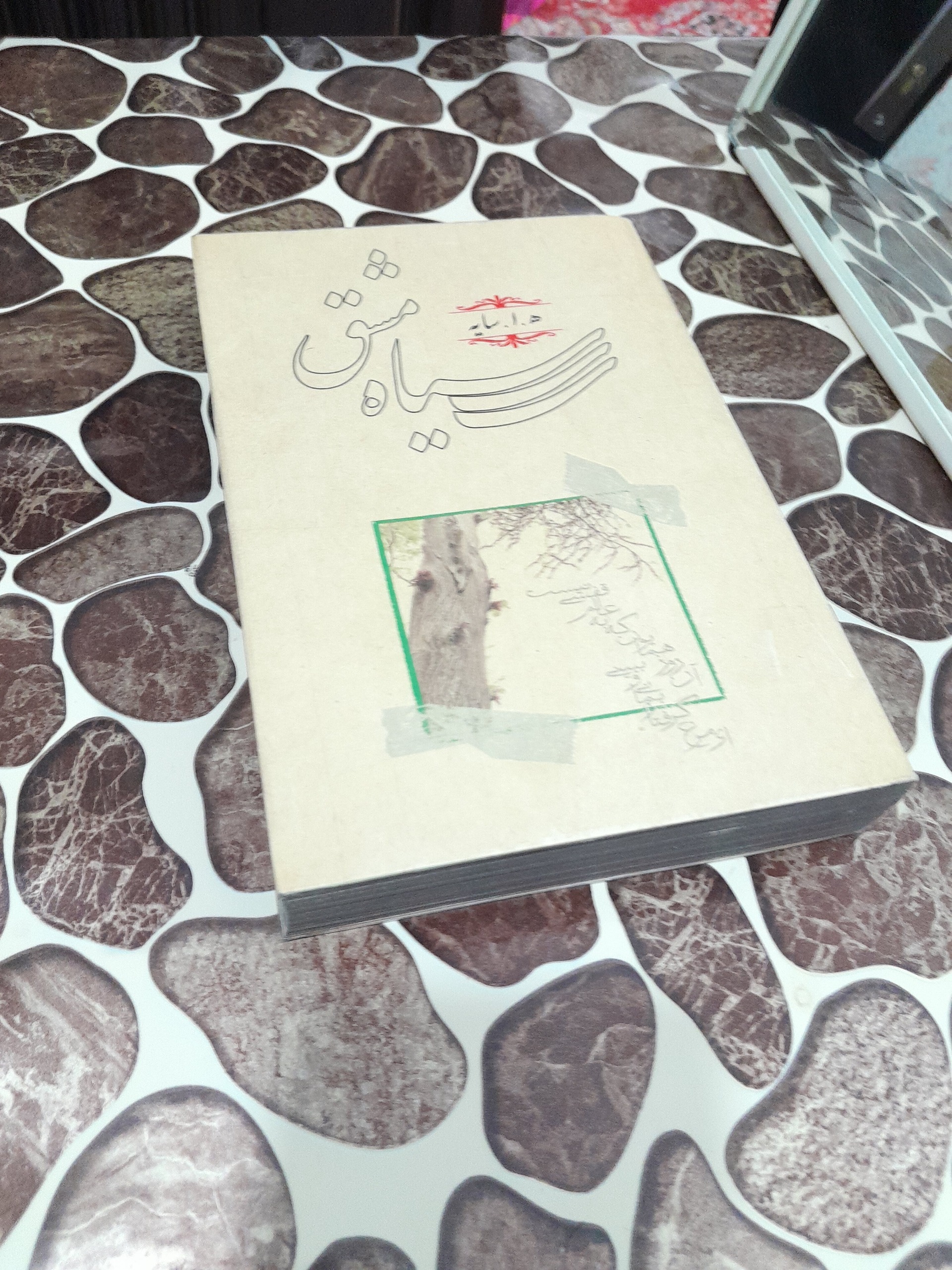 دیوان سیاه مشق