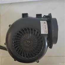 فن