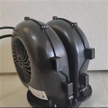 فن