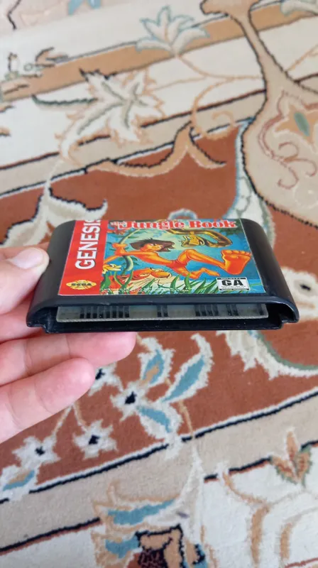 تارزان تایوان دنده ای