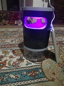 حشره