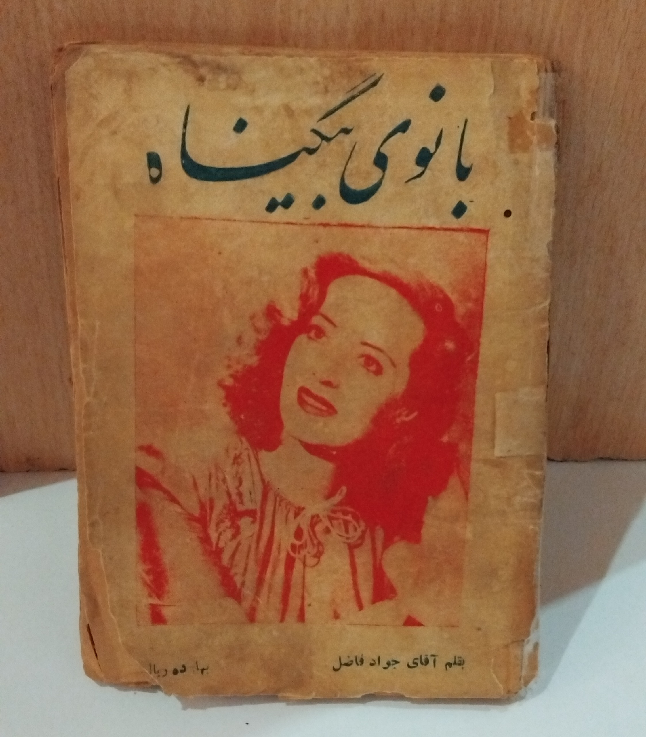 کتاب بانوی بی گناه