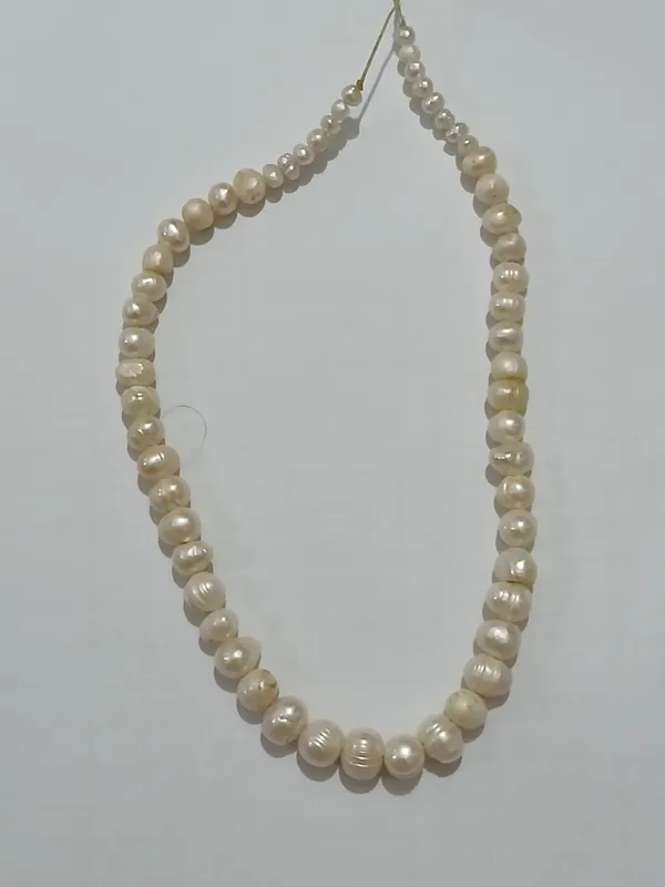 مرواریدطبیعی  زیبا