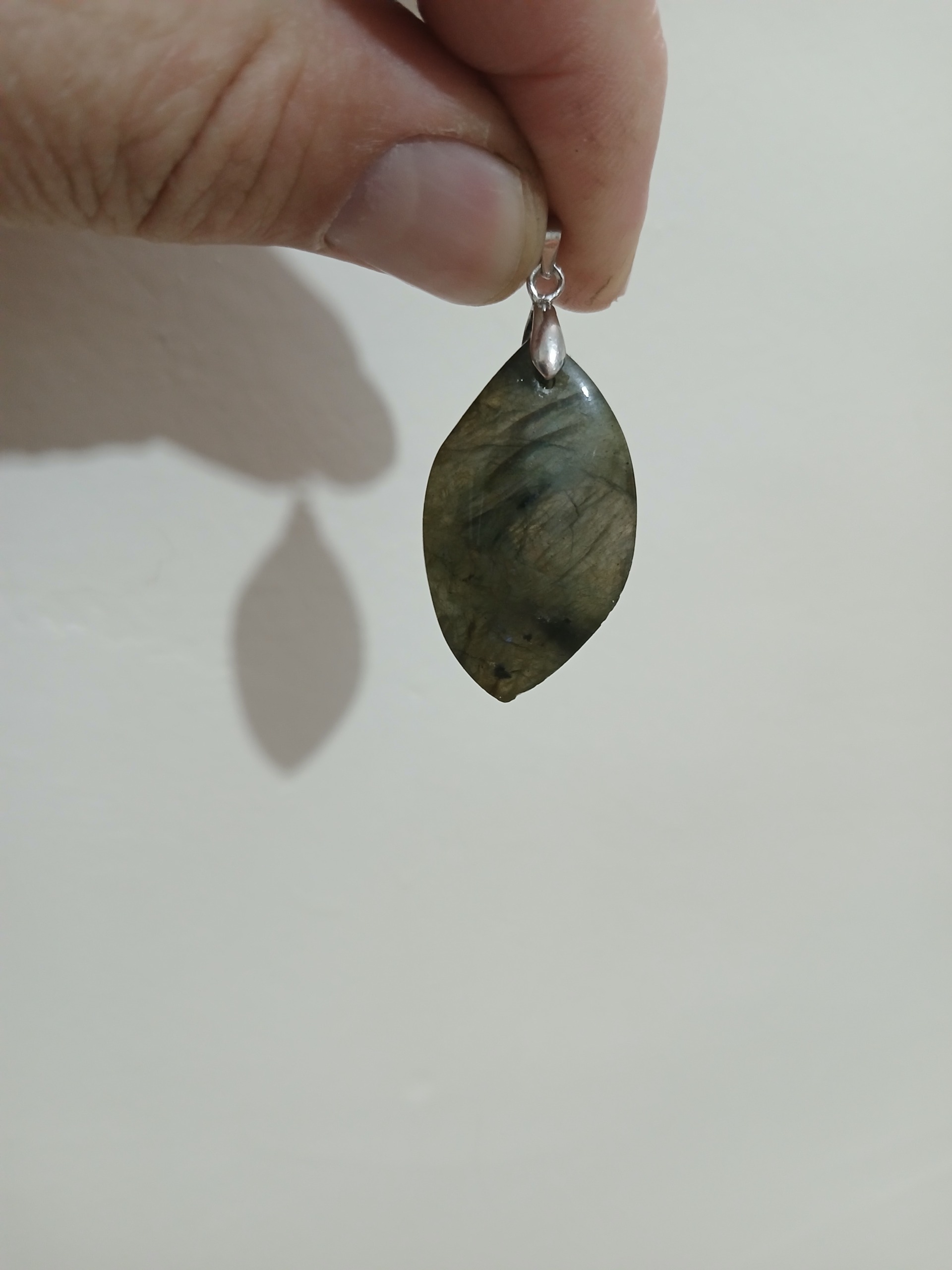 گردنی لابرادوریت زیبا