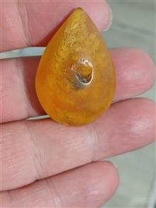 کهربا