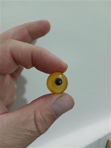 باباقوری