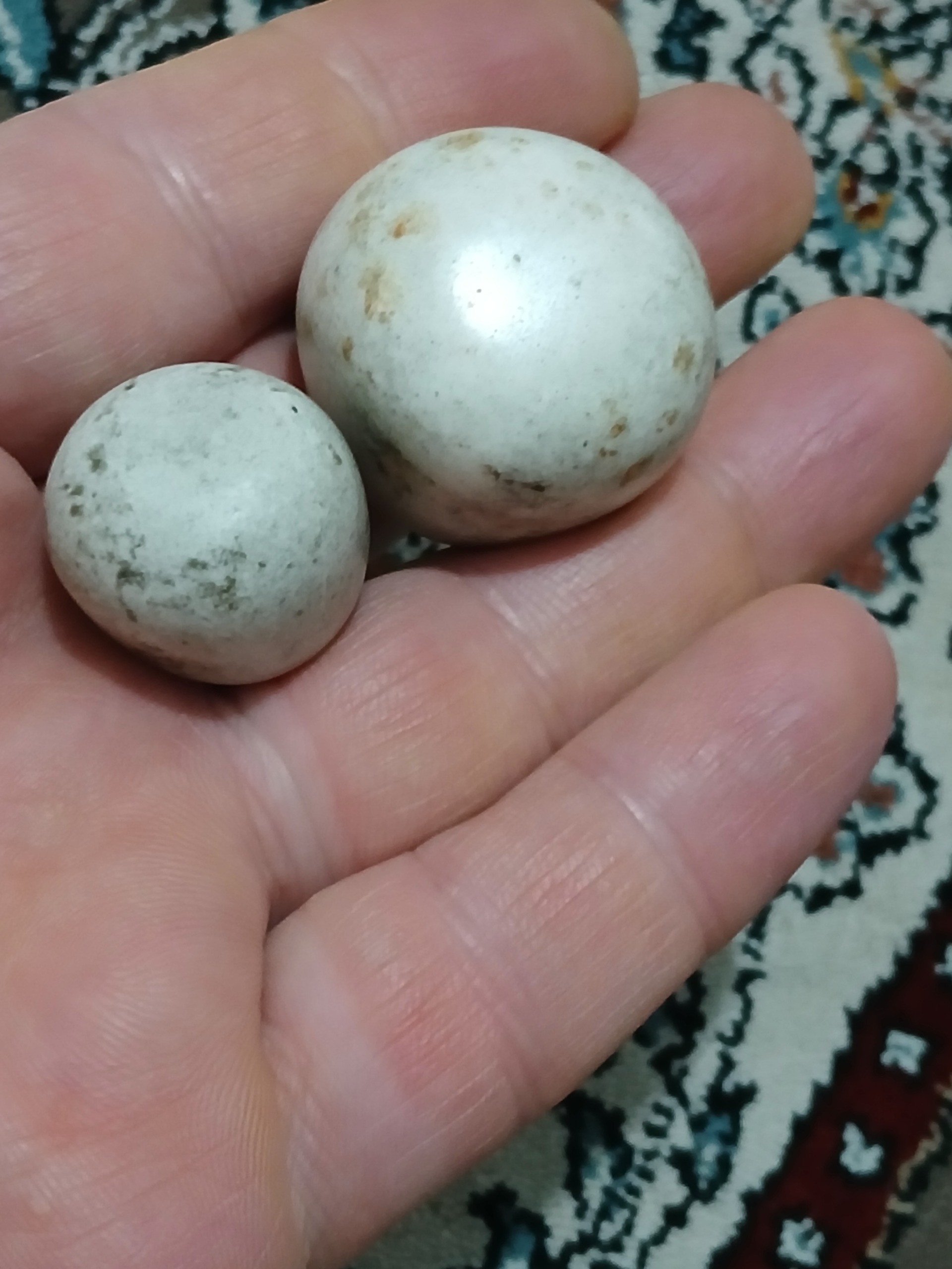 سنگ