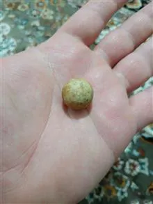 سنگ