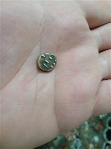 سکه