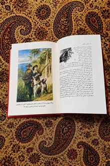 ربنسن