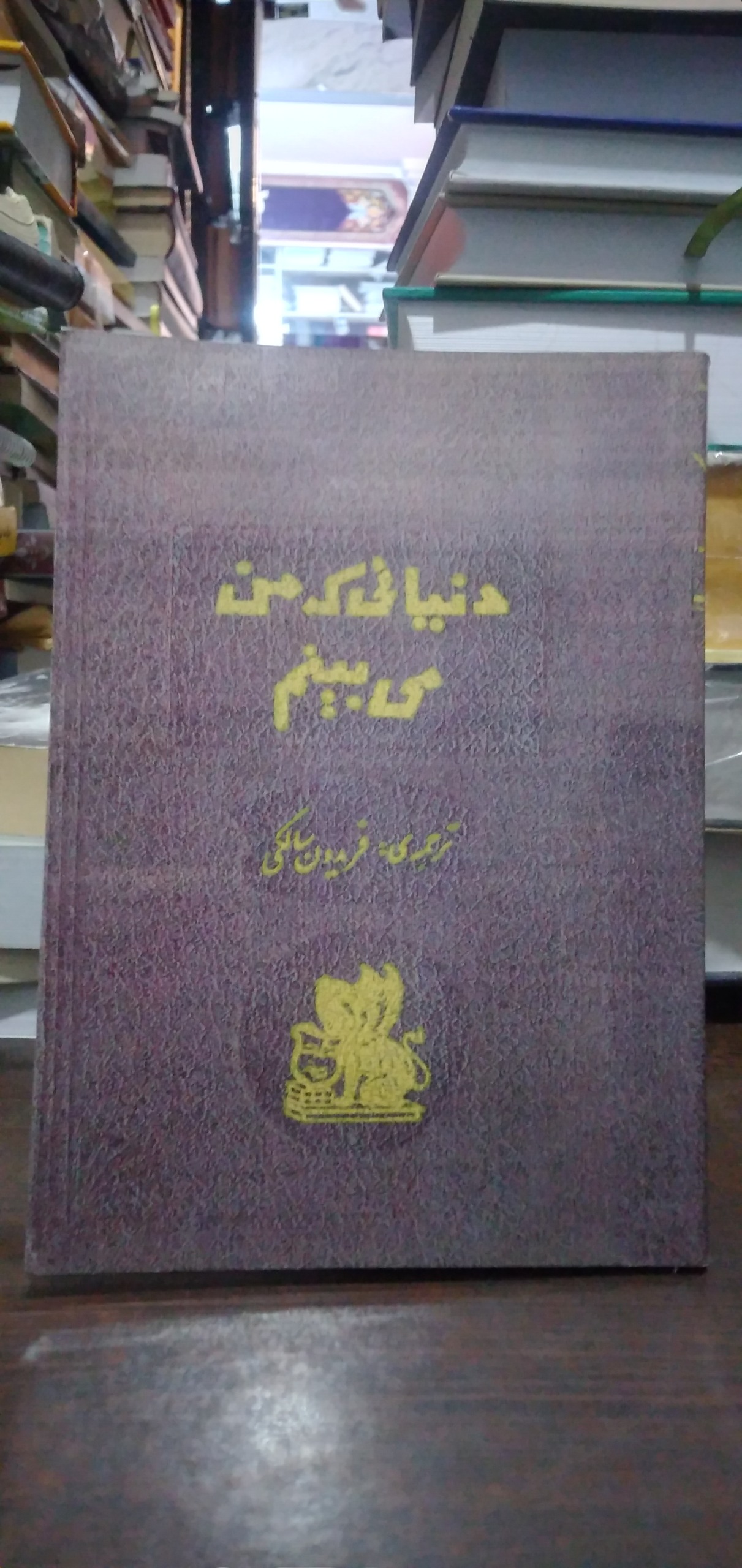 دنیایی ک من میبینم