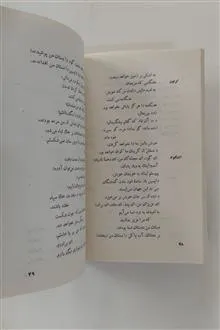آنتیگونه