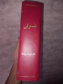 شرلی
