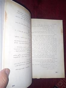 دایی