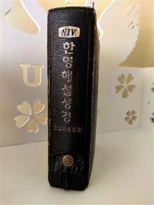 Bible